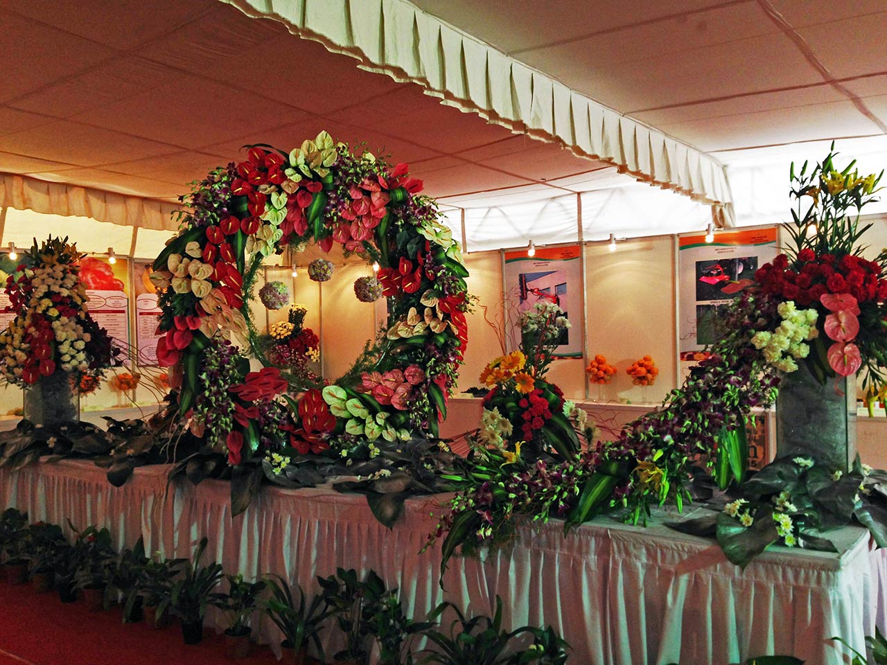 National Horticulture Board of India Exhibition