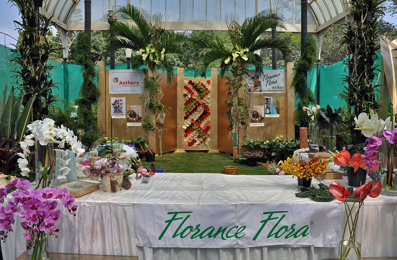 Flower Arrangement Displays at Lalbagh Bangalore
